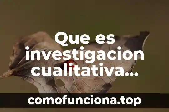Que es paradigma de la investigacion cualitativa 7 Que es investigacion cualitativa segun juan luis alvarez