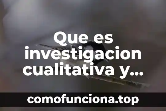 Que es paradigma de la investigacion cualitativa 4 Que es investigacion cualitativa y investigacion cuantitativa