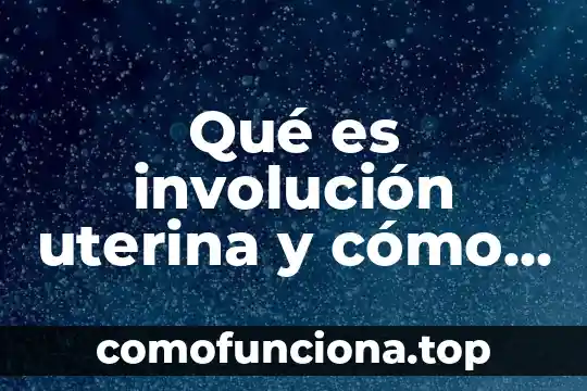 Que es lo que mas se valora de una amistad 4 Qué es involución uterina y cómo se valora