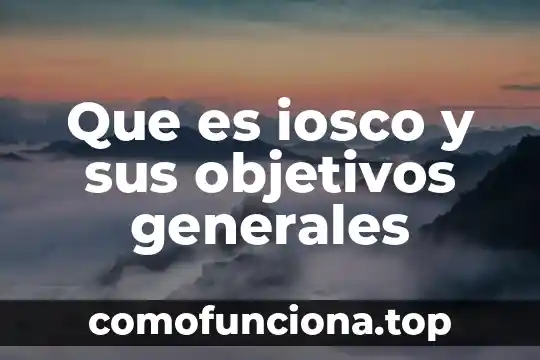 En la filosofía que es eficiente 3 Que es iosco y sus objetivos generales
