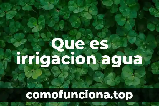 Que es el agua ionizada 3 Que es irrigacion agua