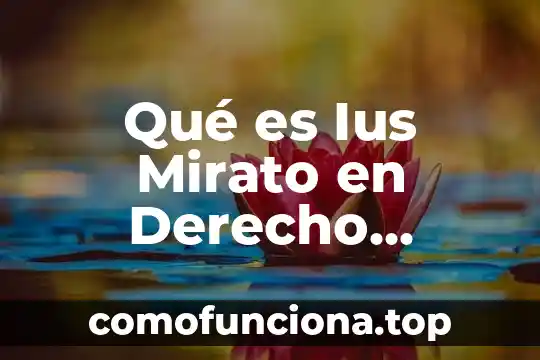 Que es fas en derecho romano 5 Qué es Ius Mirato en Derecho Romano