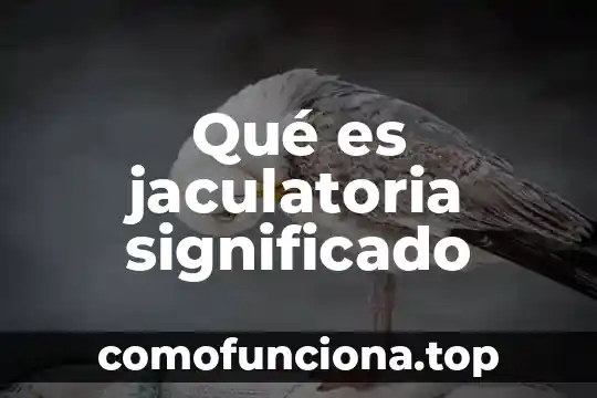 Que es valores lógicos 6 Qué es jaculatoria significado