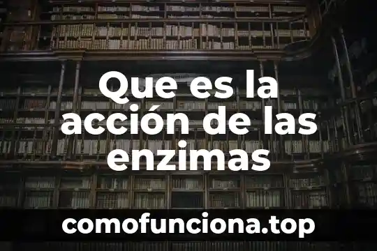 Significado de acción técnica y que es 8 Que es la acción de las enzimas