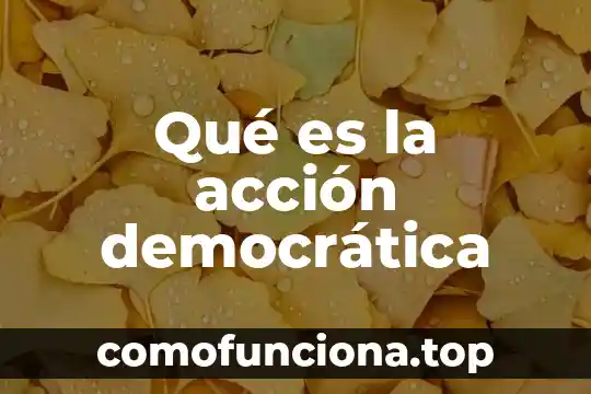 Que es la revolución democrática en la historia 4 Qué es la acción democrática
