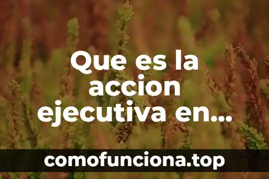 Que es una accion tecnica e instrumento de evaluacion 7 Que es la accion ejecutiva en derecho civil