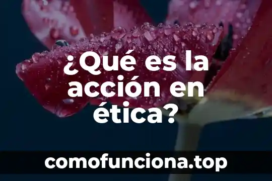 Que es la etica cantica 3 ¿Qué es la acción en ética?