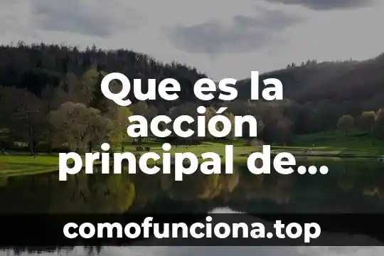 Que es informacion y cual es su principal caracteristica 3 Que es la acci贸n principal de derecho