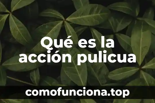Que es una accion tecnica e instrumento de evaluacion 6 Qué es la acción pulicua