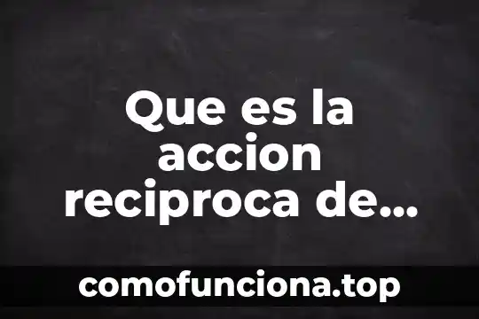 Que es la acción humana segun los filososfos 7 Que es la accion reciproca de una sociedad