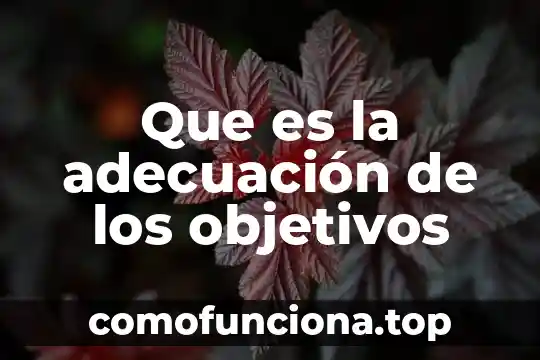 Que es concepto y objetivos 5 Que es la adecuación de los objetivos