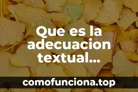 Que es la coherencia textual y su importancia 7 Que es la adecuacion textual ejemplos