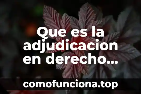 Que es fas en derecho romano 8 Que es la adjudicacion en derecho romano
