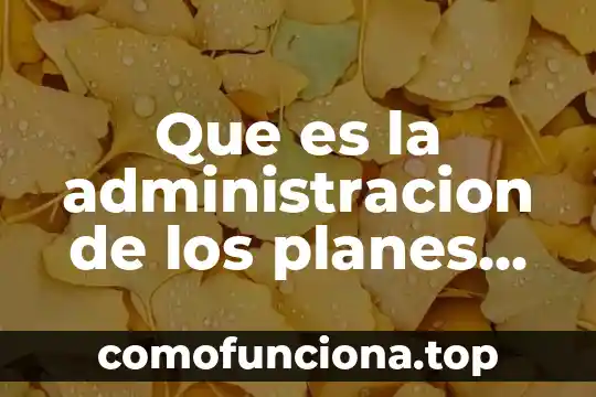 Que es el brillo en el arte 4 Que es la administracion de los planes de incentivos