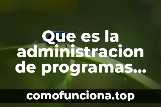 Gráfica circular definición qué es y concepto 4 Que es la administracion de programas y porque ha evolucionado