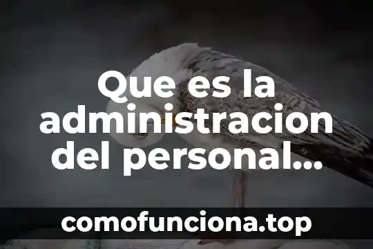 Qué es denotación y connotación con ejemplos 7 Que es la administracion del personal ejemplos