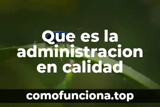 Que es la sociedad en la administracion 3 Que es la administracion en calidad