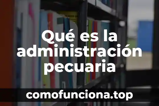 Qué es el movimiento de los objetos ejemplos 3 Qué es la administración pecuaria