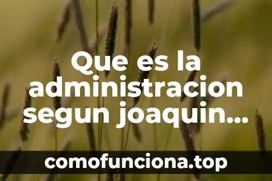 Que es la sociedad segun talcott parsons 8 Que es la administracion segun joaquin rodriguez valencia