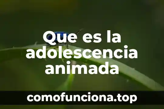 Que es una lectura animada 8 Que es la adolescencia animada