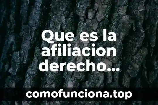 Qué es número de afiliación al seguro popular 3 Que es la afiliacion derecho resumen