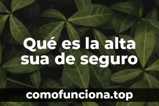 Que es la alta edad media del siglo v 6 Qué es la alta sua de seguro