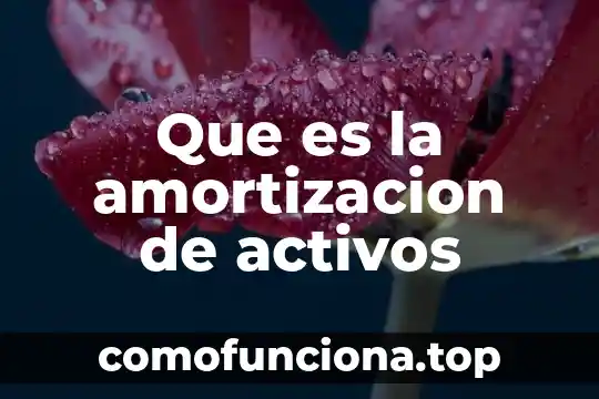 Control de activos fijos que es 3 Que es la amortizacion de activos
