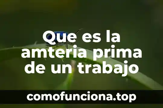 Qué es materia prima definición 7 Que es la amteria prima de un trabajo