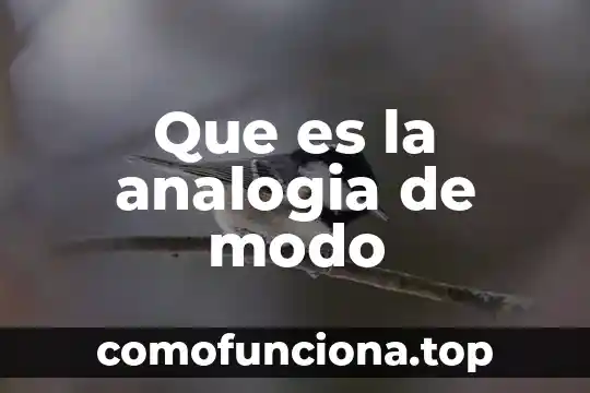 Que es una analogía en lógica 6 Que es la analogia de modo