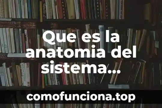 Que es movimiento anatomia 4 Que es la anatomia del sistema musculo-esqueletico