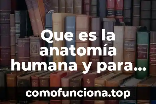 Que es movimiento anatomia 7 Que es la anatomía humana y para que sirve