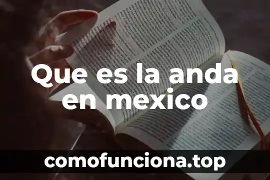 Que es la flor de jamaica en mexico 3 Que es la anda en mexico