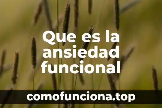 Que es arte funcional 5 Que es la ansiedad funcional