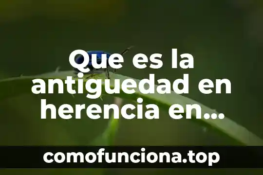 Que es el respeto animal 6 Que es la antiguedad en herencia en programacion