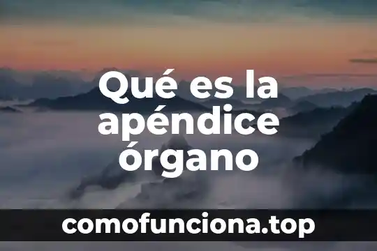 Qué es el órgano definición 8 Qué es la apéndice órgano