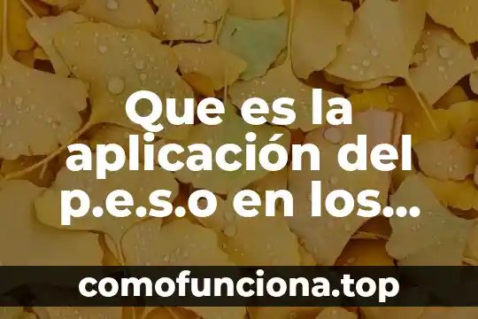 Qué es un análisis de hipótesis en administración de proyectos 6 Que es la aplicación del p.e.s.o en los proyectos sociales
