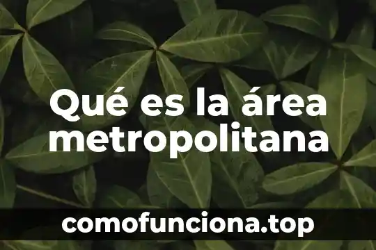 Área de apacentamiento que es 3 Qué es la área metropolitana