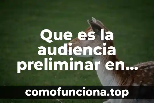 Qué es un diagnóstico preliminar en una investigación 4 Que es la audiencia preliminar en materia familiar