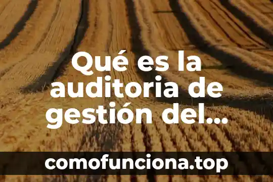 Que es un campo en gestion del conocimiento 6 Qué es la auditoria de gestión del conocimiento