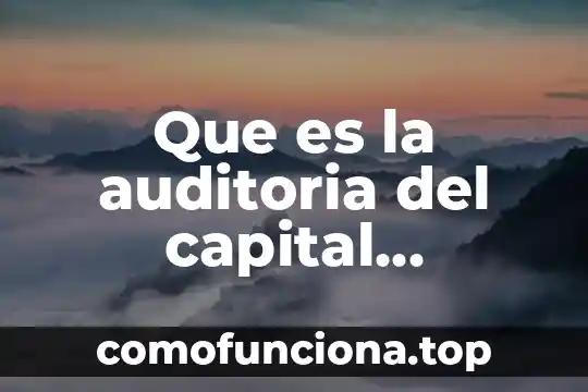 Que es el capital social y tipos de capital social 5 Que es la auditoria del capital humano