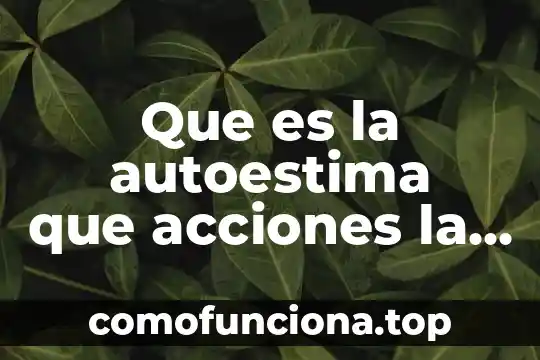Que es una sociedad por acciones simplificada sas 5 Que es la autoestima que acciones la afectan