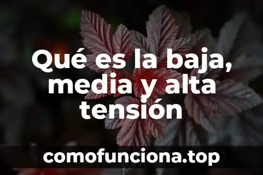 Que es la alta edad media del siglo v 7 Qué es la baja, media y alta tensión