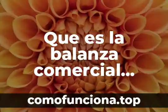 Que es outsourcing comercial 8 Que es la balanza comercial banco de mexico