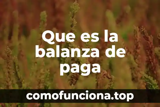 Que es lo que paga el padrino de bautizo 5 Que es la balanza de paga