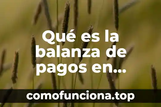 Qué es repuderación en economía 7 Qué es la balanza de pagos en economía
