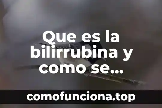 Que es planta libre en arquitectura 4 Que es la bilirrubina y como se controla