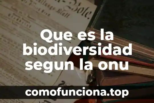Qué es la biodiversidad en general 7 Que es la biodiversidad segun la onu