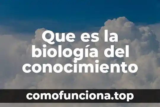 Que es el conocimiento en minería de datos 8 Que es la biología del conocimiento