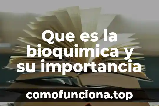 Adviento místico que es 6 Que es la bioquimica y su importancia