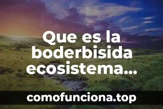 Que es ser profesor de idiomas segun autores 8 Que es la boderbisida ecosistema funciones vitales ser vivo
